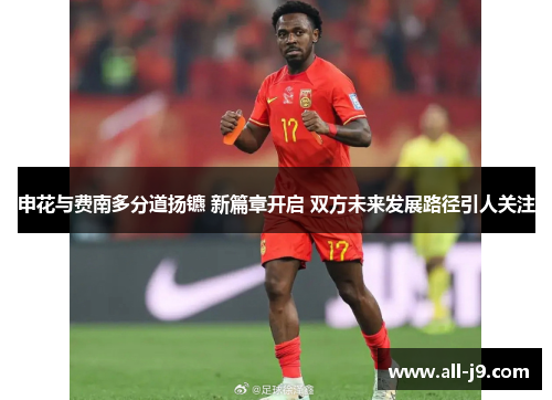 申花与费南多分道扬镳 新篇章开启 双方未来发展路径引人关注