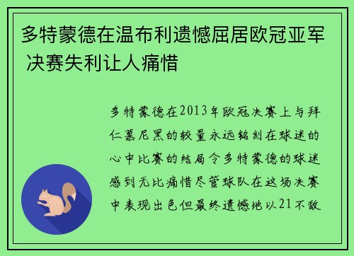 多特蒙德在温布利遗憾屈居欧冠亚军 决赛失利让人痛惜